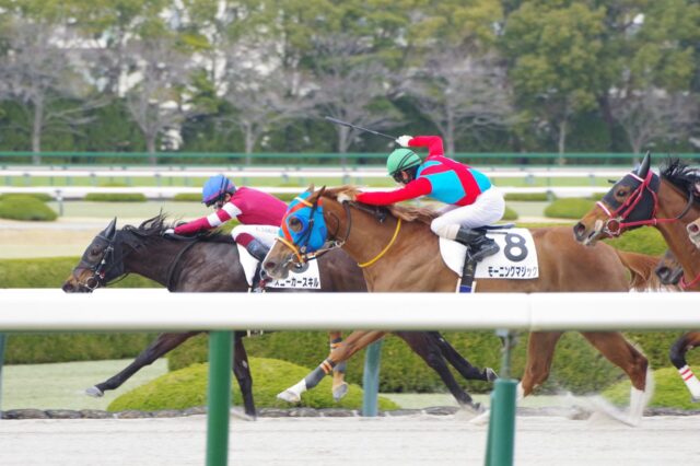 鮫島克駿騎手の好判断が吉 スニーカースキルが鮮やか逃げ切り