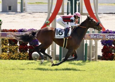 能力全開ならやっぱり強い レイクラシックが余裕の勝ち上がり