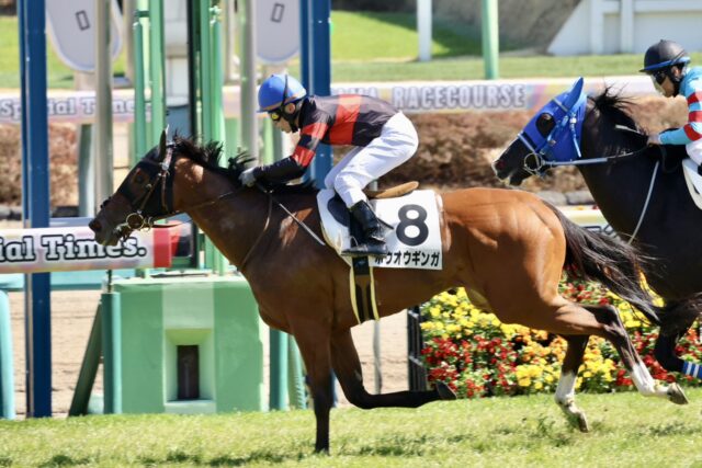 経験馬相手に堂々たるレースぶり ホウオウギンガが圧巻のデビュー勝ち