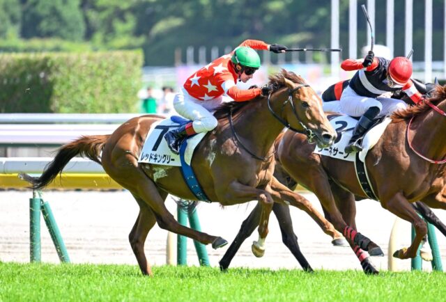 課題の折り合いぴったり レッドキングリーが圧倒的1番人気で完勝