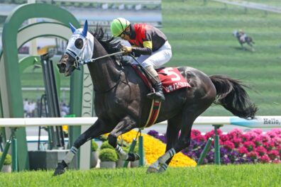 村瀬オーナーに届けた初タイトル シホノスペランツァが京都HJを快勝