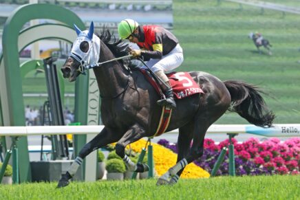 村瀬オーナーに届けた初タイトル シホノスペランツァが京都HJを快勝