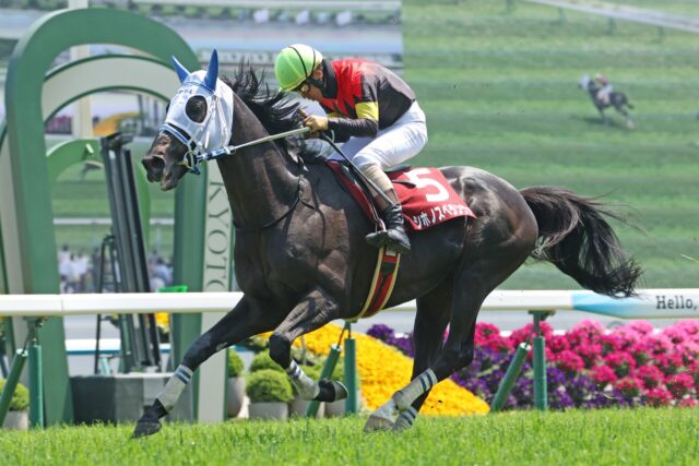 村瀬オーナーに届けた初タイトル シホノスペランツァが京都HJを快勝