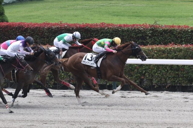 追い比べで勝負根性を発揮 オテンバプリンセスが待望の初勝利