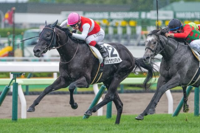 国本オーナーとの新たな物語がスタート ショウナンマルチが待望の初勝利
