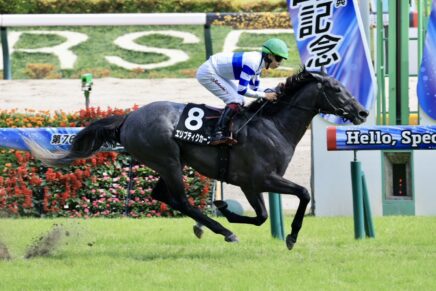 〝イメチェン〟の番手追走から悠々と エリプティクカーブが待望の2勝目ゲット