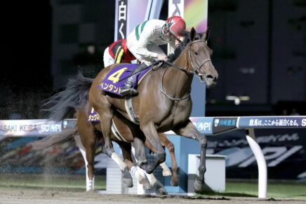 一騎打ちを制して3歳ダート女王に ペンダントが関東オークスを制覇