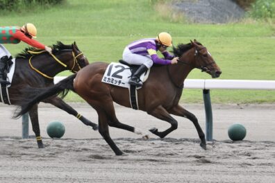 さすがはエアグルーヴ一族の良血馬 ミカミッチーが横山典弘騎手に導かれ新馬勝