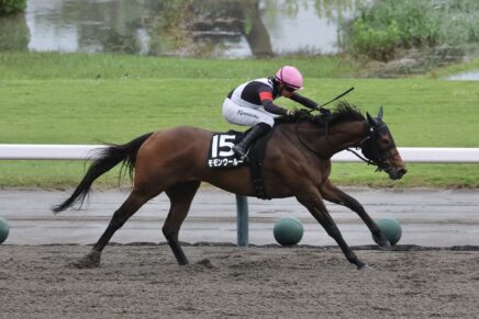 左回りのダート1800はお任せ！ モモンウールーが待望の3勝目