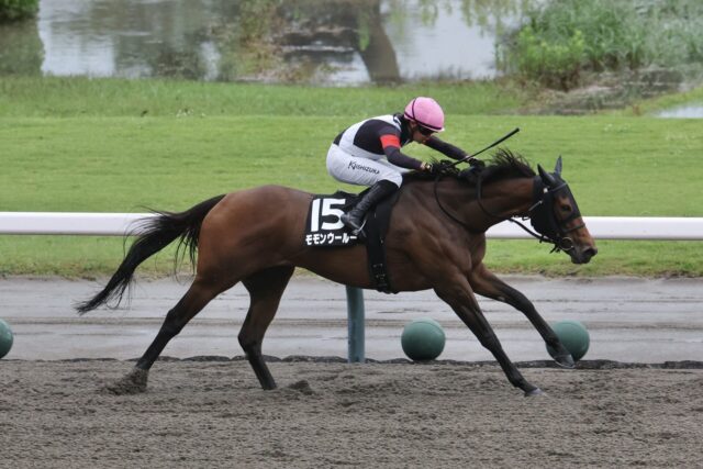 左回りのダート1800はお任せ！ モモンウールーが待望の3勝目