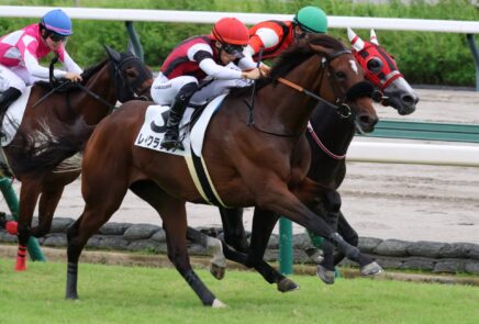圧倒的1番人気に応える完勝 レイクラシックが秋の大舞台へ弾み