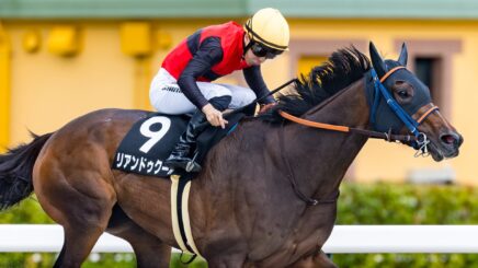 530kgの巨体を揺らして リアンドゥクールが1番人気で横綱相撲