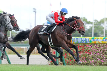 秋の飛躍へ待ったなし カフジエメンタールが堂々の2連勝