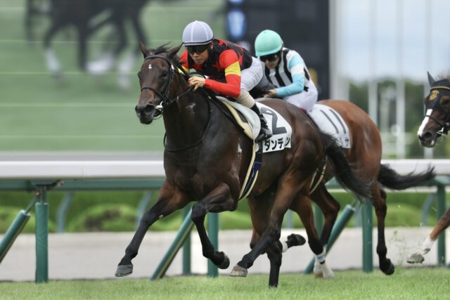 好位から抜け出す横綱相撲 ダンデノンが待望の2勝目ゲット