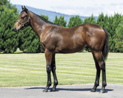 生産馬 | LAKE VILLA FARM