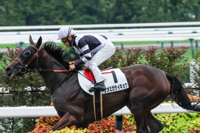待ちに待った最強証明！ ナオミガサイキョウがぶっちぎりで初勝利